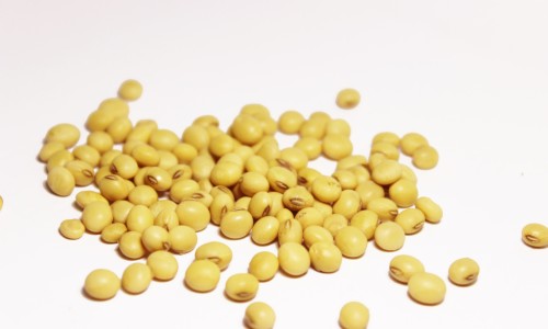 炒绿豆的功效与作用网 :分享炒绿豆的功效与作用及营养-炒绿豆的优缺点知识
