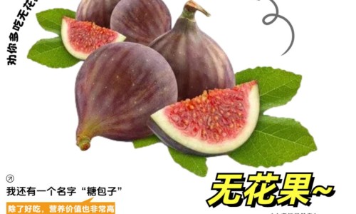 炒绿豆的功效与作用及禁忌-炒绿豆的功效与作用网 :分享炒绿豆的功效与作用及营养-炒绿豆的优缺点知识