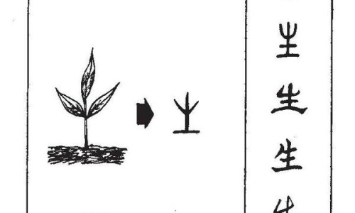 炒绿豆的功效与作用及禁忌-炒绿豆的功效与作用网 :分享炒绿豆的功效与作用及营养-炒绿豆的优缺点知识